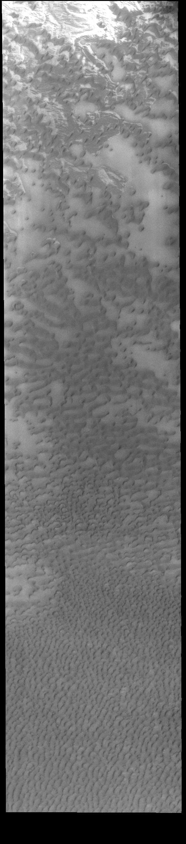 NASA image: Olympia Undae