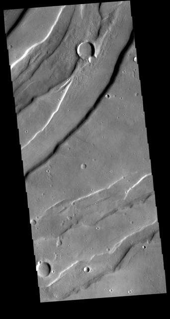 NASA image: Tempe Fossae