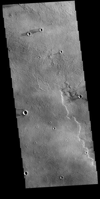 NASA image: Daedalia Planum Windstreaks