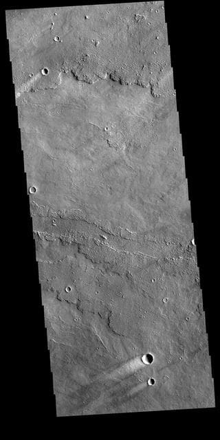 NASA image: Daedalia Planum Windstreaks