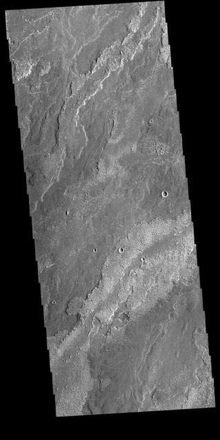 NASA image: Daedalia Planum