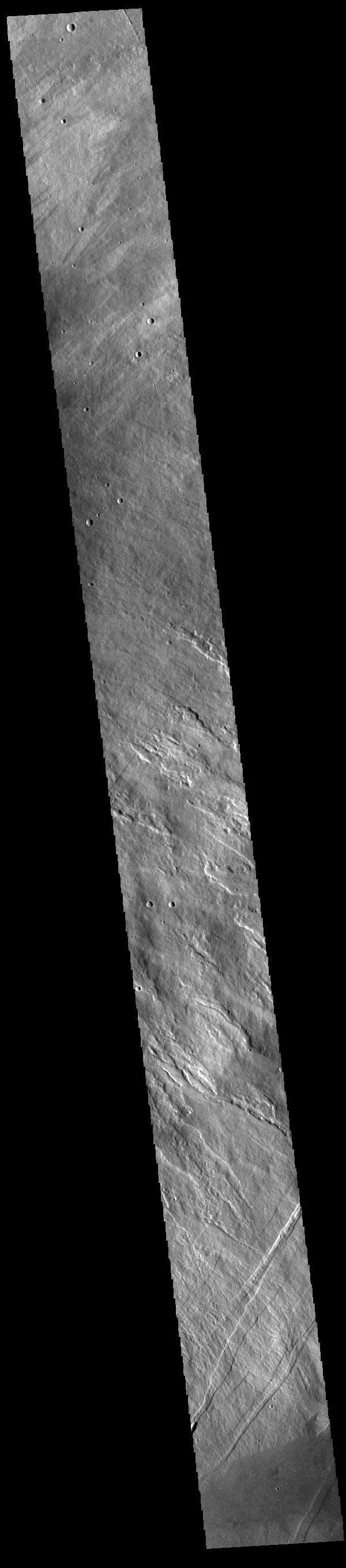 NASA image: Arsia Mons