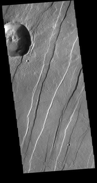 NASA image: Alba Mons Tectonics