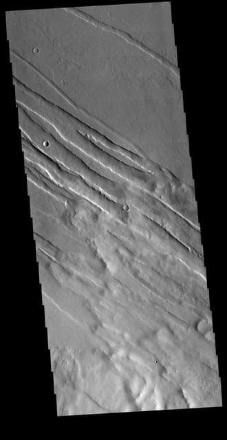 NASA image: Tharsis Tectonics