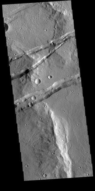 NASA image: Sirenum Fossae