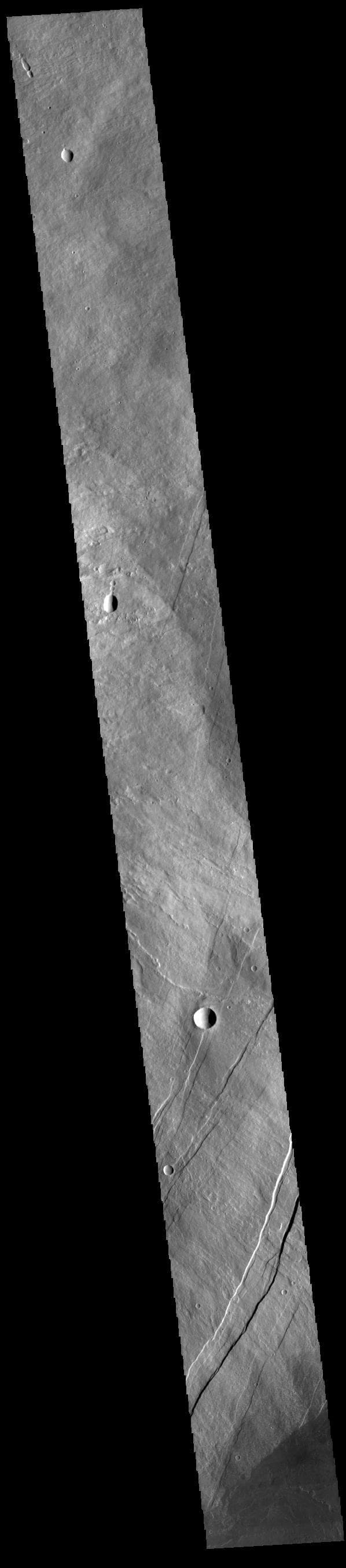 NASA image: Arsia Mons