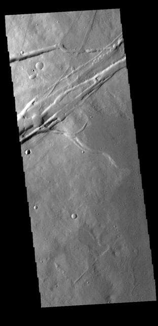 NASA image: Albor Fossae