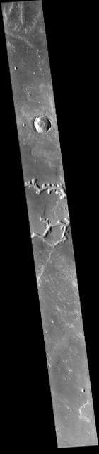 NASA image: Nirgal Vallis