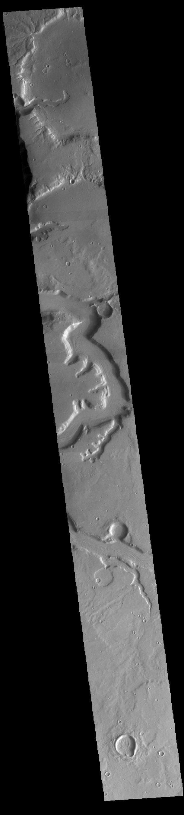 NASA image: Mamers Valles