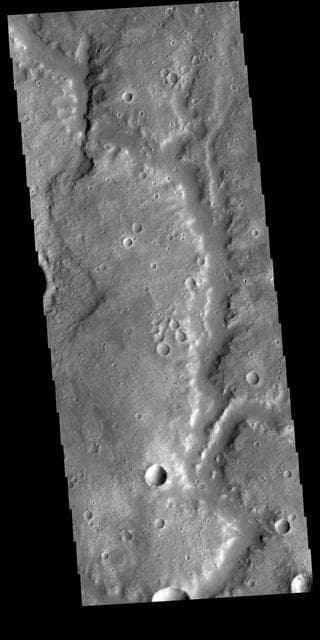 NASA image: Vichada Valles
