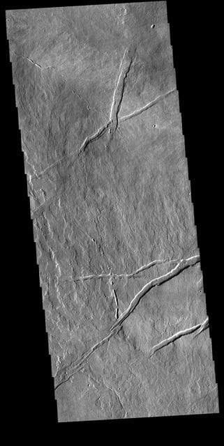 NASA image: Tharsis Volcanics