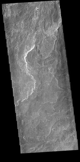 NASA image: Daedalia Planum