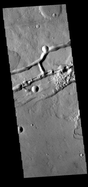 NASA image: Sirenum Fossae