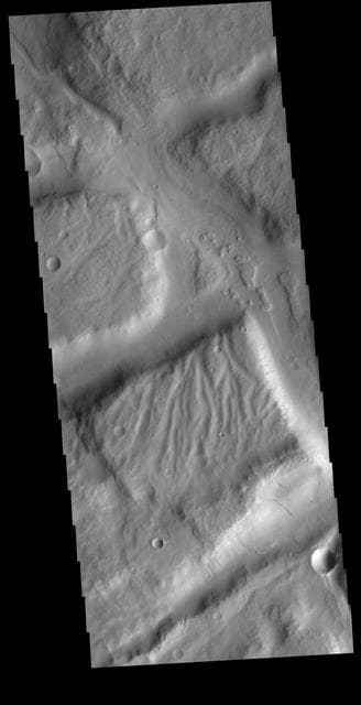 NASA image: Complexity