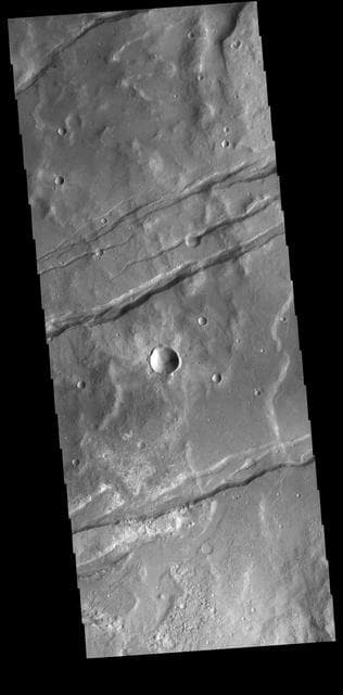 NASA image: Sirenum Fossae