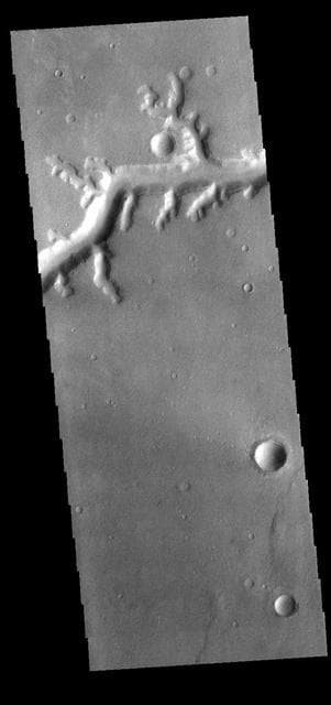 NASA image: Nirgal Vallis
