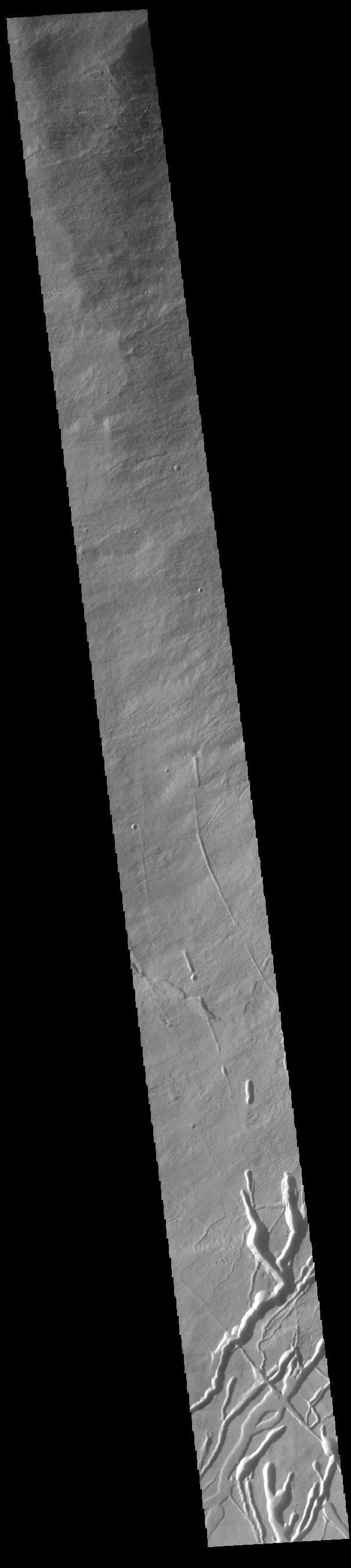 NASA image: Ascraeus Mons