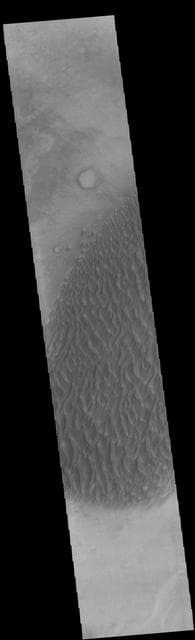NASA image: Proctor Crater Dunes