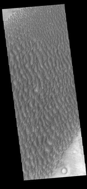 NASA image: Proctor Crater Dunes