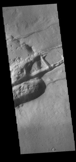 NASA image: Sirenum Fossae