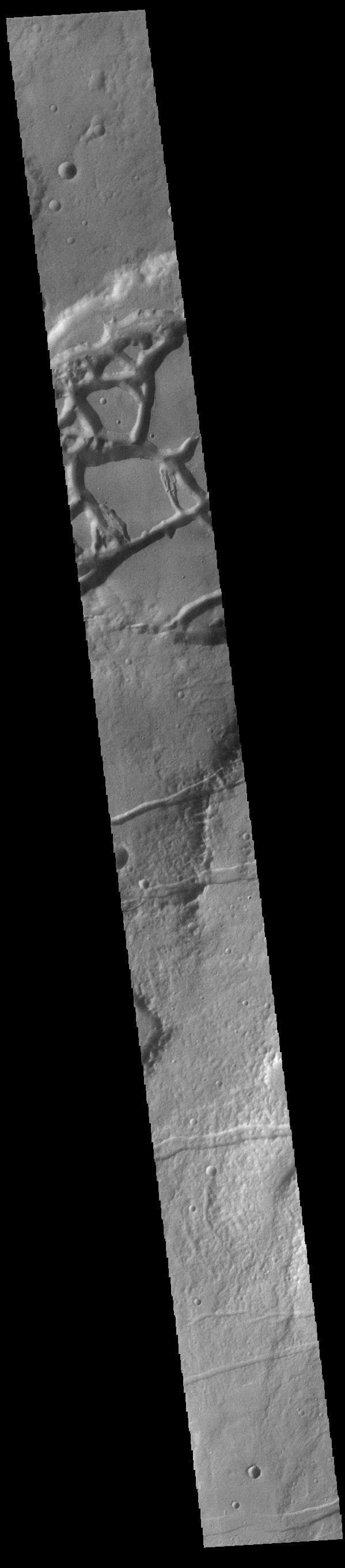 NASA image: Mangala and Memnonia Fossae