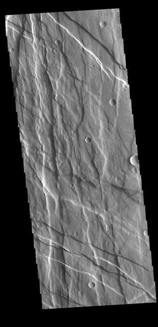 NASA image: Ulysses Fossae