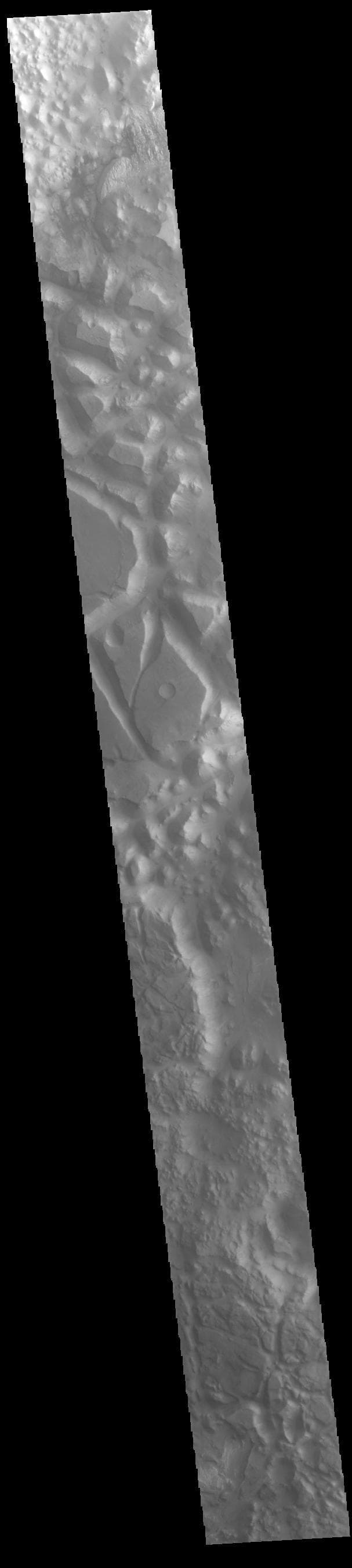 NASA image: Iani Chaos