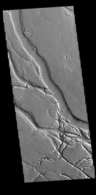 NASA image: Granicus Valles
