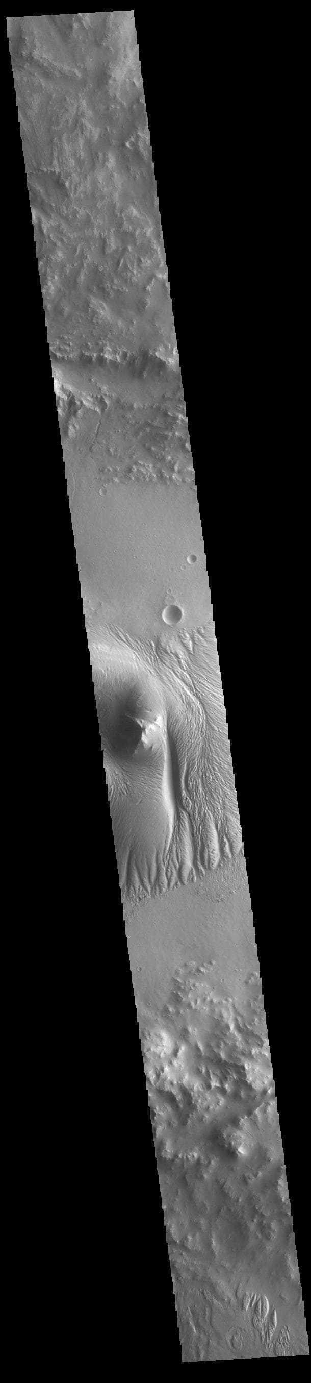 NASA image: Nicholson Crater