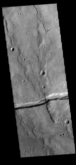 NASA image: Sirenum Fossae