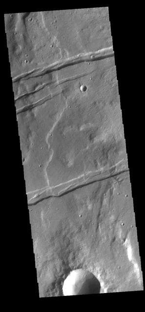 NASA image: Sirenum Fossae