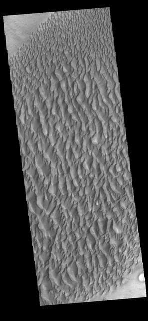 NASA image: Proctor Crater Dunes