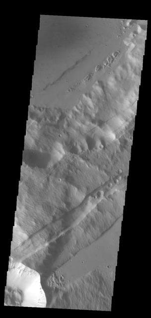 NASA image: Sirenum Fossae