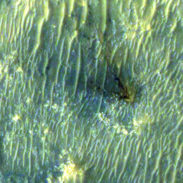 NASA image: Close-Up of Perseverance Descent Stage on the Martian Surface