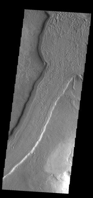 NASA image: Reull Vallis