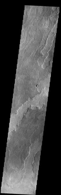 NASA image: Daedalia Planum