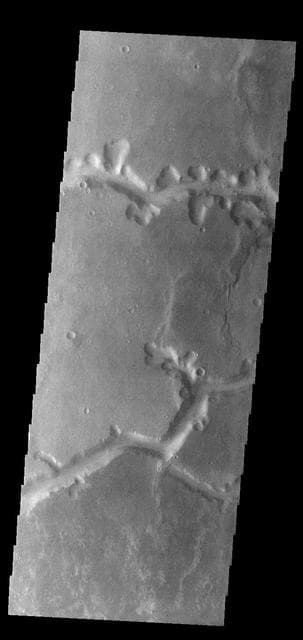 NASA image: Nirgal Vallis
