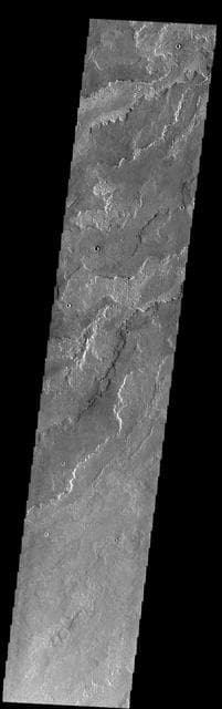 NASA image: Daedalia Planum