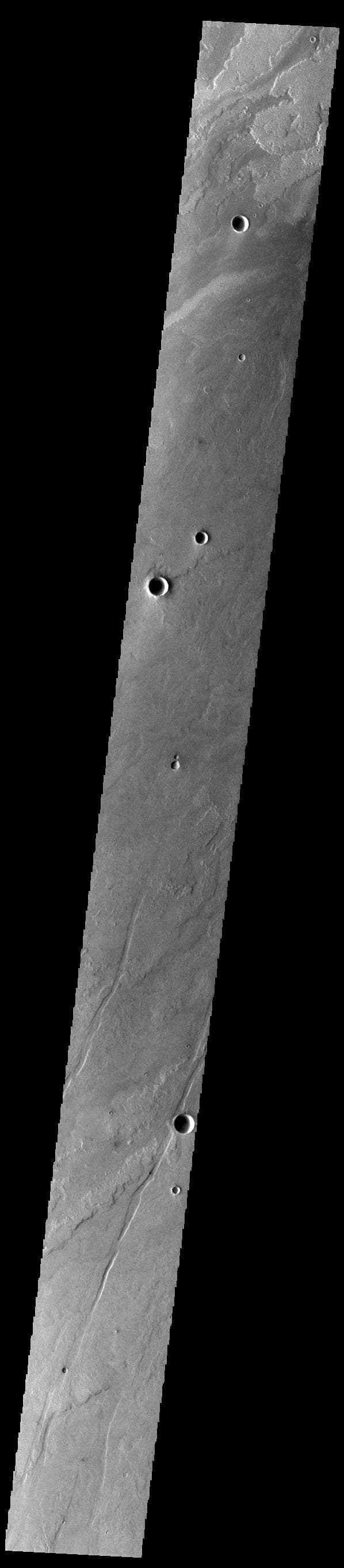 NASA image: Daedalia Planum