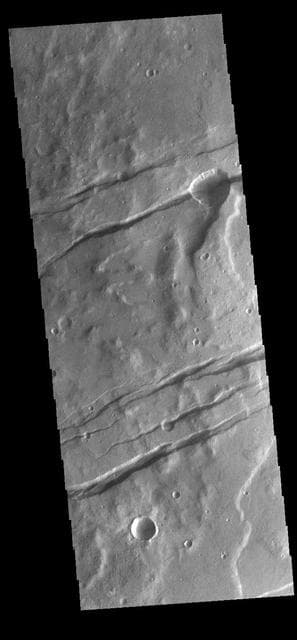 NASA image: Sirenum Fossae