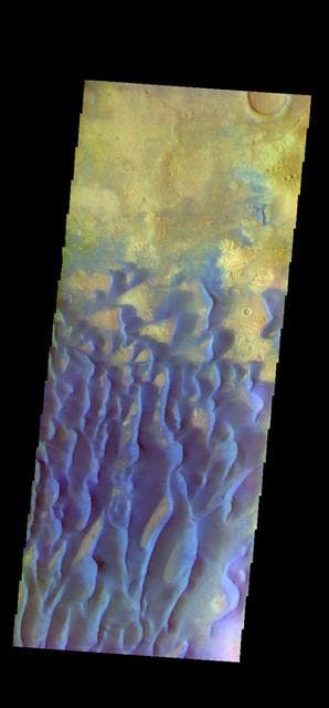 NASA image: Kaiser Crater Dunes - False Color