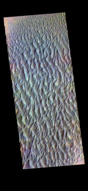NASA image: Proctor Crater Dunes - False Color