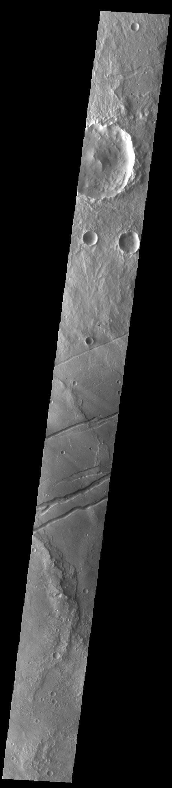 NASA image: Sirenum Fossae