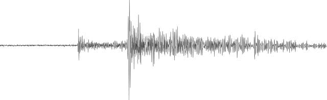 NASA image: Seismogram From Mars