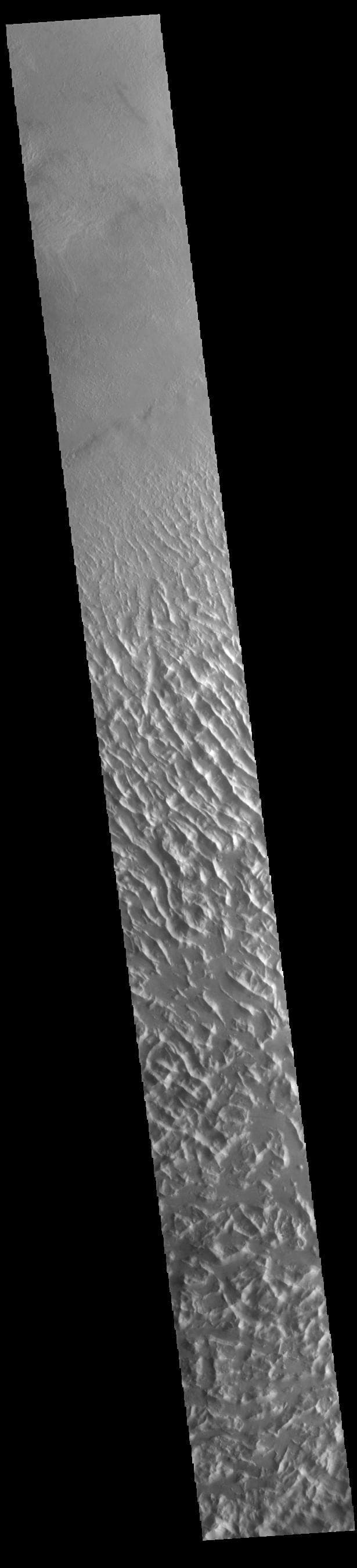 NASA image: Lycus Sulci