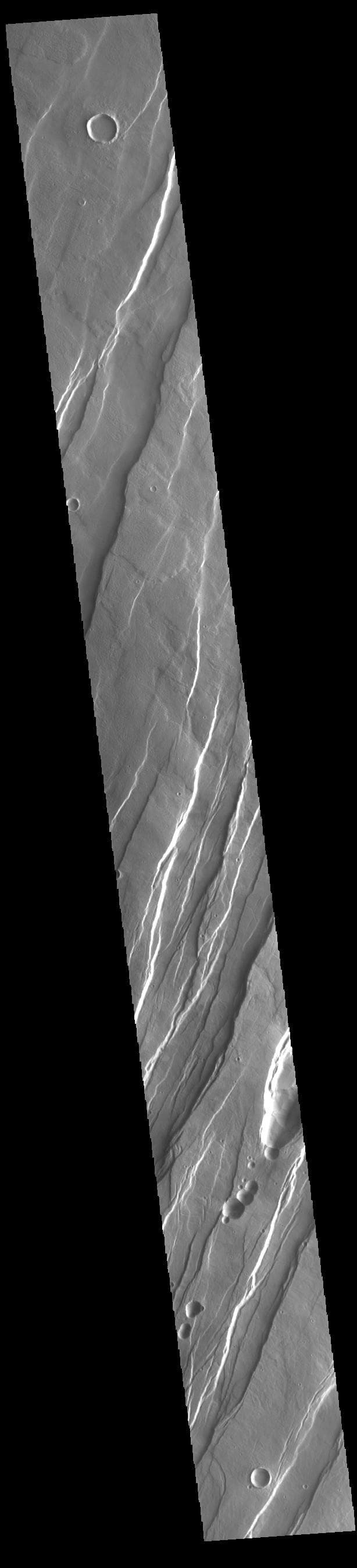 NASA image: Tantalus Fossae