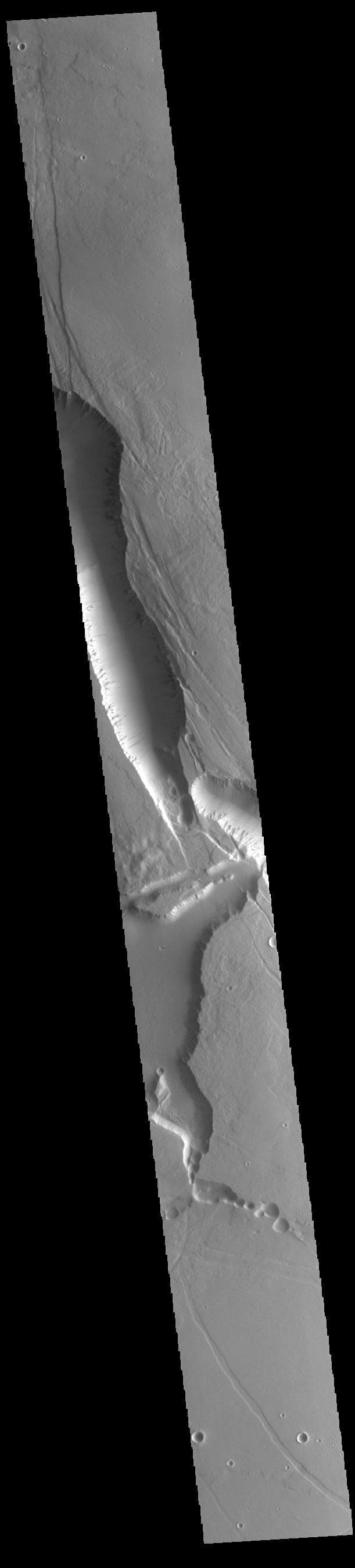 NASA image: Elysium Chasma