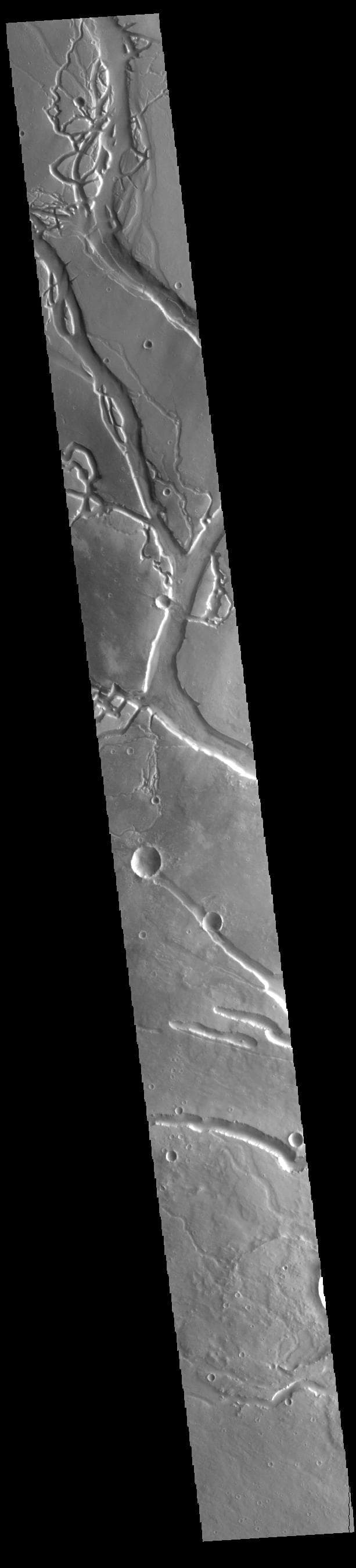 NASA image: Granicus Valles