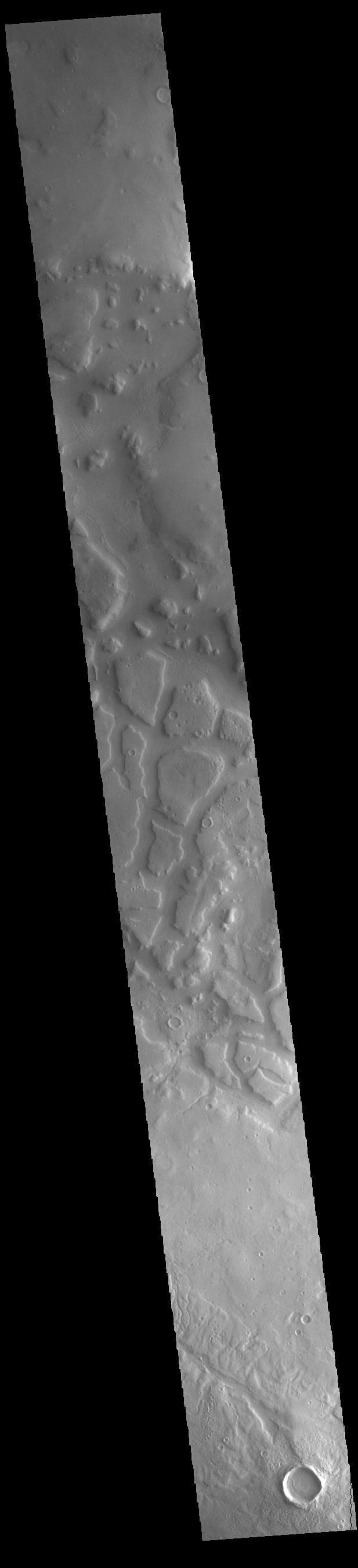 NASA image: Ismeniae Fossae