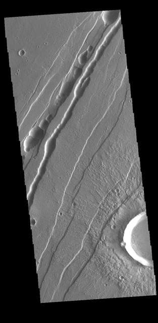 NASA image: Tractus Catena